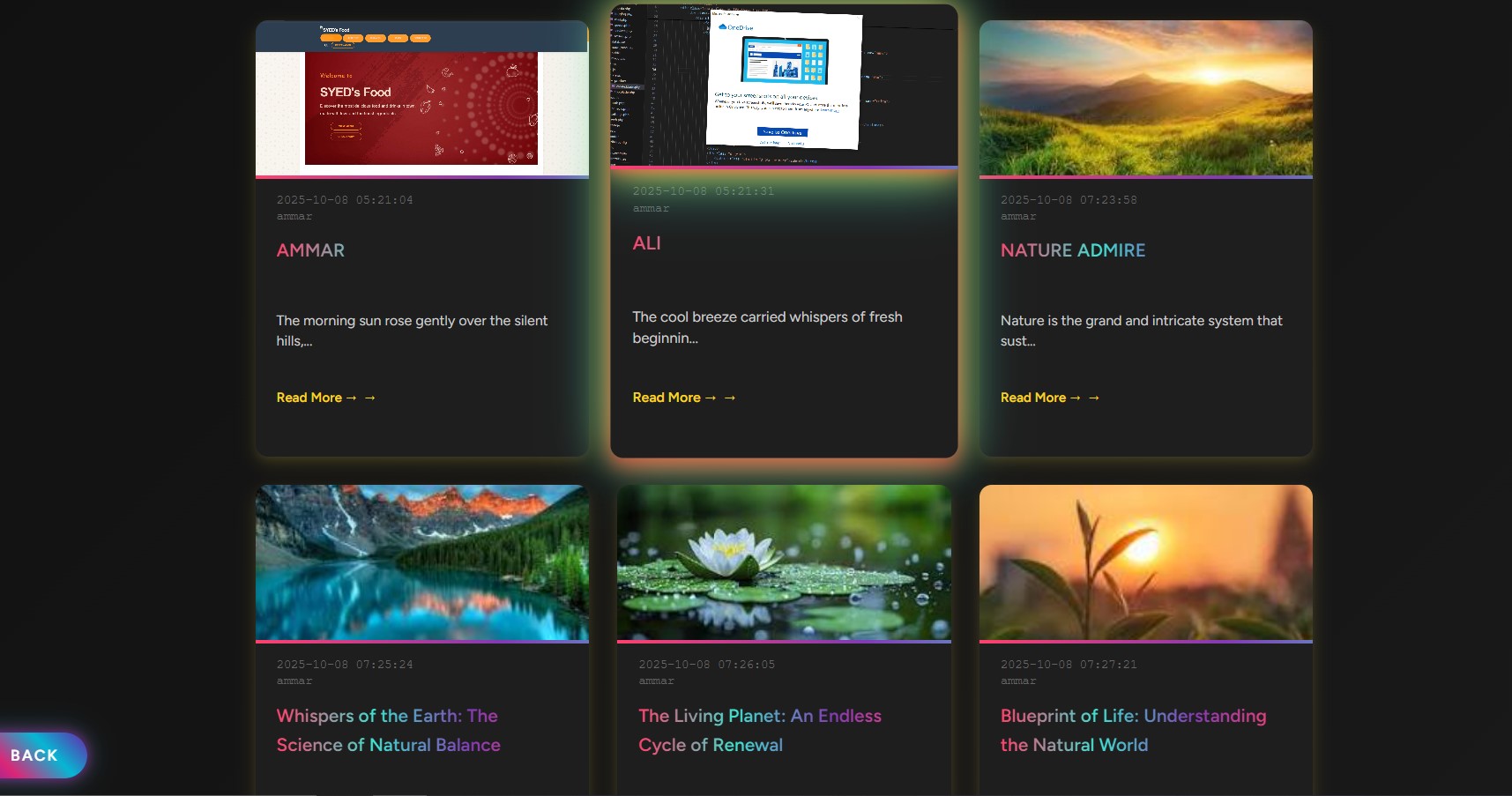 Blog Website
